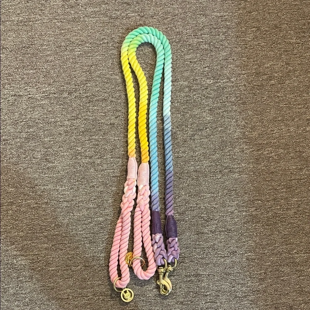 Vibrant Multicolor Dog Leash****ONLY 1, PLEASE SEE NOTE BELOW****